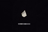 陶片藏品圖，第2張